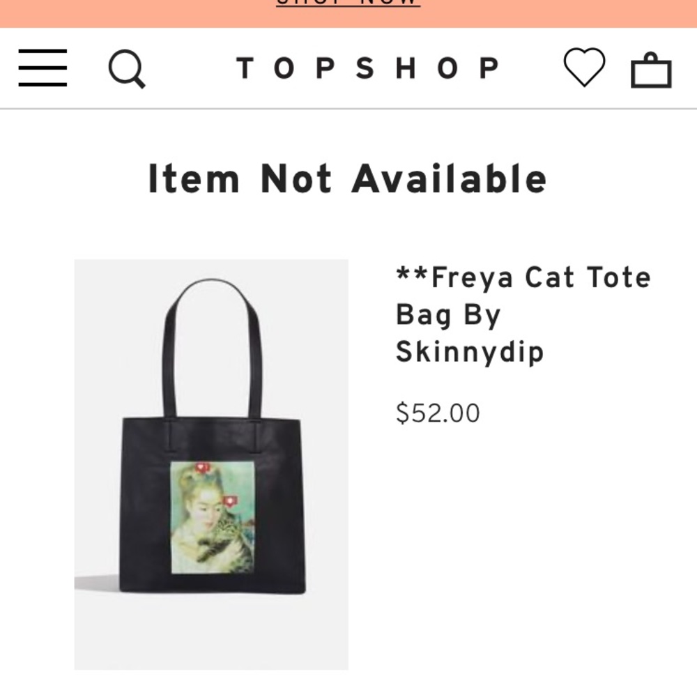 Frey’s Cat Tote Bag - Picture 4 of 4